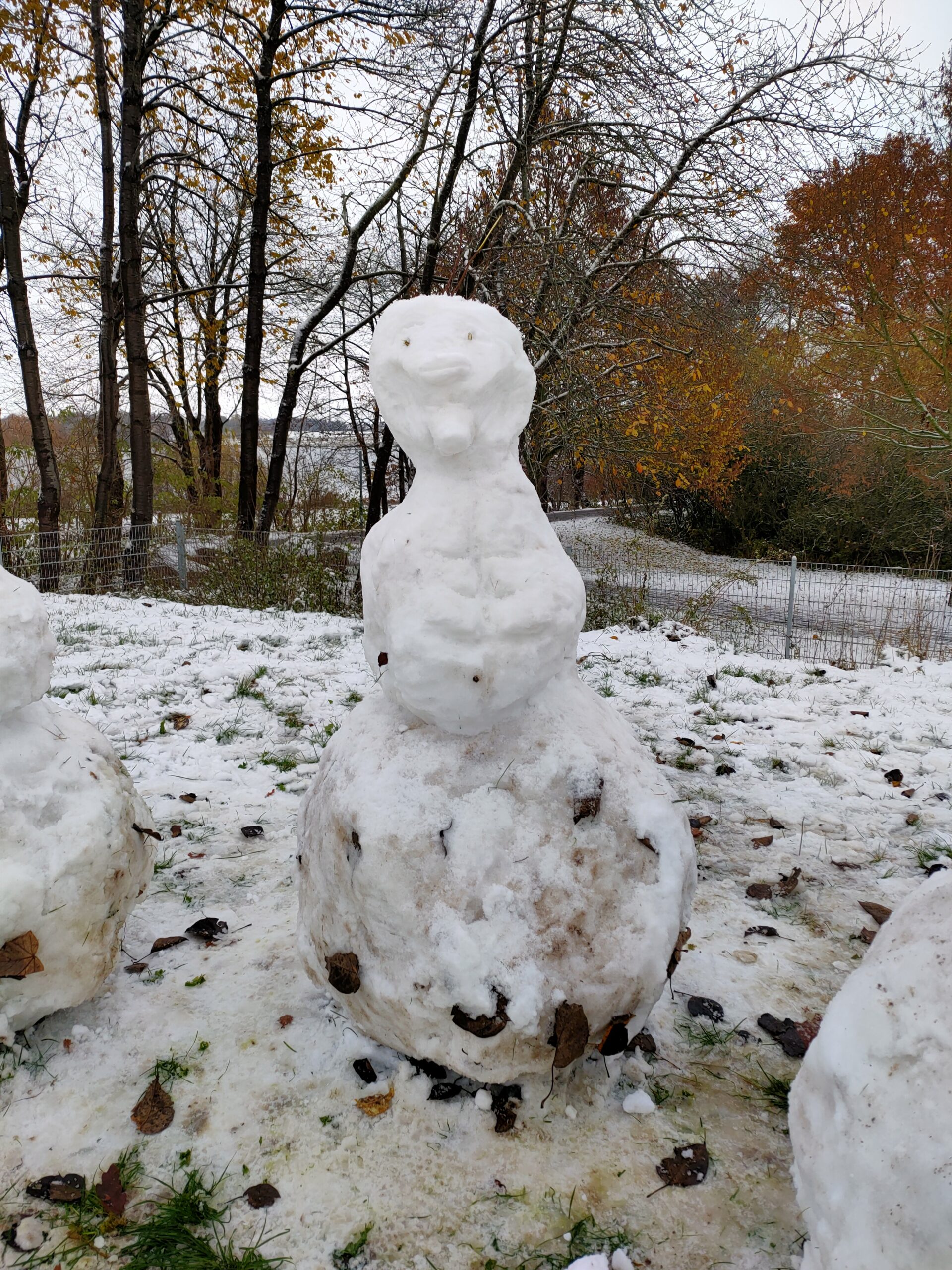 Willst du einen Schneemann bauen?